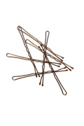 Bobby Pins (300 ct)